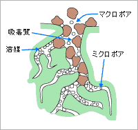 活性炭微細孔の概念図 